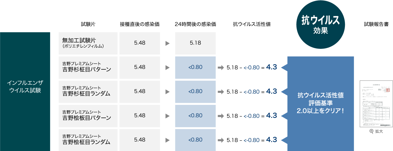 抗ウイルス試験結果
